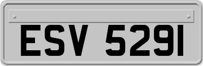 ESV5291