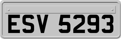 ESV5293