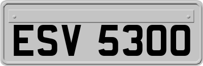 ESV5300