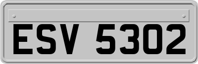 ESV5302