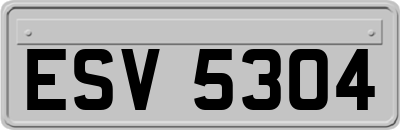 ESV5304