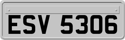 ESV5306