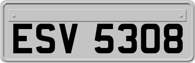 ESV5308