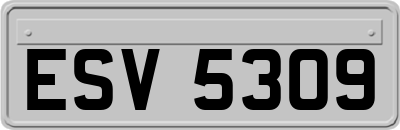 ESV5309