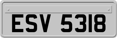 ESV5318