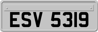 ESV5319