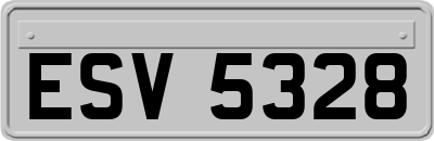 ESV5328