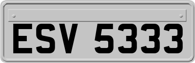 ESV5333