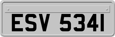 ESV5341