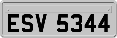 ESV5344