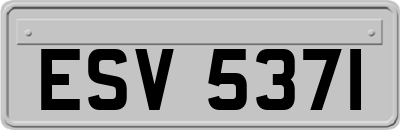 ESV5371
