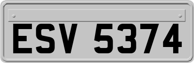 ESV5374