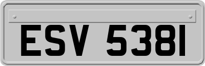 ESV5381