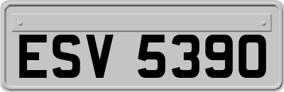 ESV5390