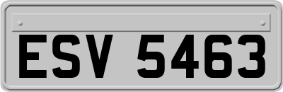 ESV5463