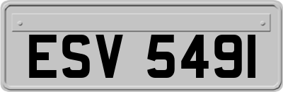 ESV5491