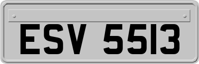 ESV5513