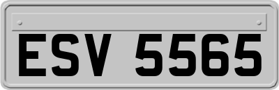 ESV5565