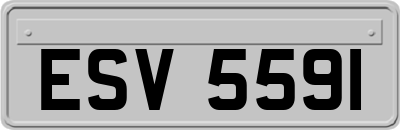 ESV5591