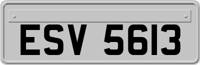 ESV5613