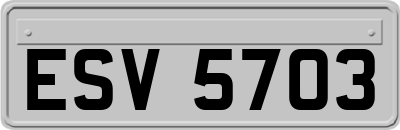 ESV5703