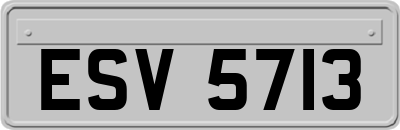 ESV5713