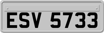 ESV5733