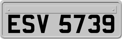 ESV5739