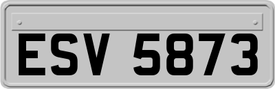 ESV5873