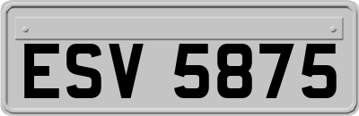 ESV5875
