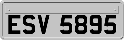 ESV5895