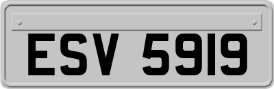 ESV5919