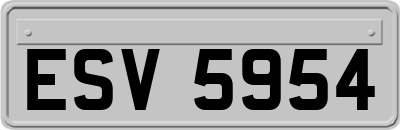 ESV5954