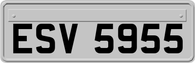 ESV5955