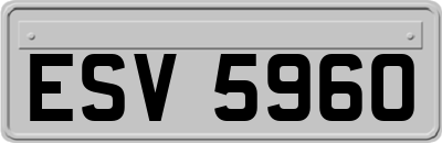 ESV5960