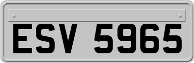 ESV5965