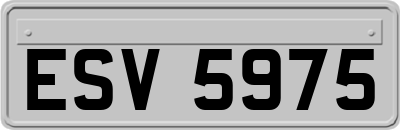ESV5975
