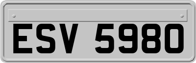ESV5980