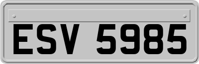 ESV5985