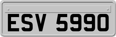 ESV5990
