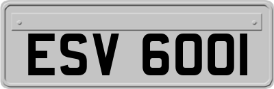 ESV6001