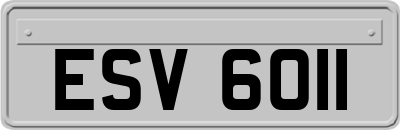ESV6011