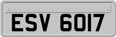 ESV6017