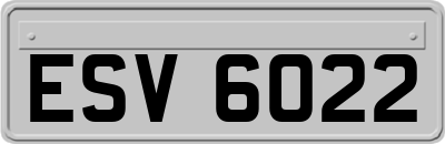 ESV6022
