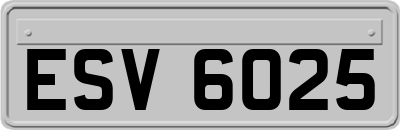 ESV6025