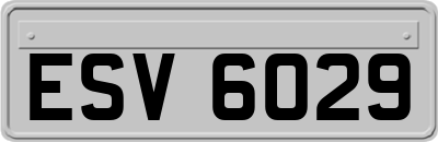 ESV6029