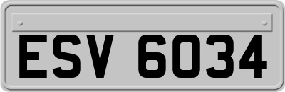 ESV6034