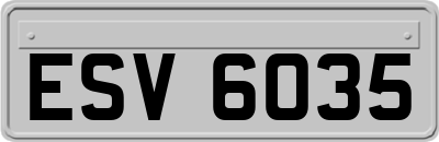 ESV6035