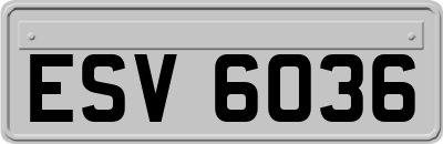 ESV6036
