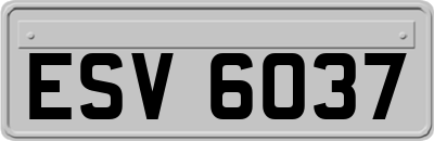 ESV6037